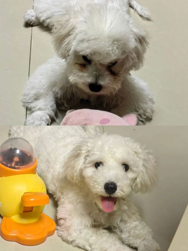 镜护理液”还有妙用！真是让人大开眼界冰球